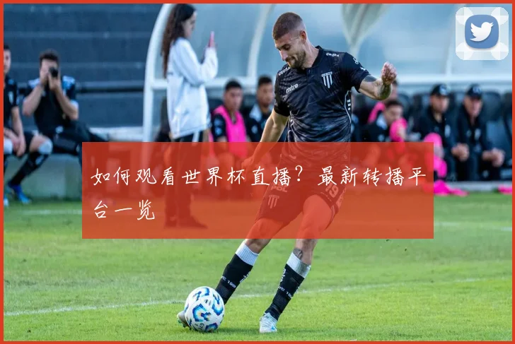 如何观看世界杯直播?最新转播平台一览